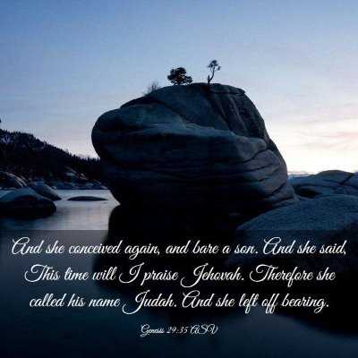 Picture 03 - Genesis 29:35 ASV - And she conceived again, and bare a son. And she - Bible Verse Picture