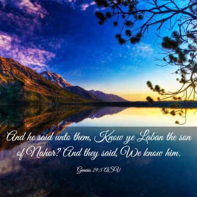 Picture 03 - Genesis 29:5 ASV - And he said unto them, Know ye Laban the son of - Bible Verse Picture
