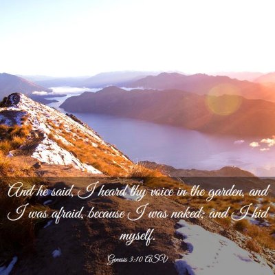 Picture 03 - Genesis 3:10 ASV - And he said, I heard thy voice in the garden, and - Bible Verse Picture