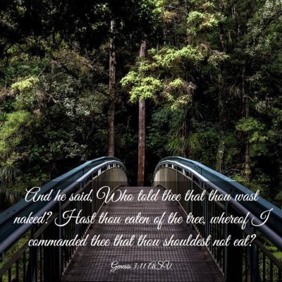 Picture 03 - Genesis 3:11 ASV - And he said, Who told thee that thou wast naked? - Bible Verse Picture