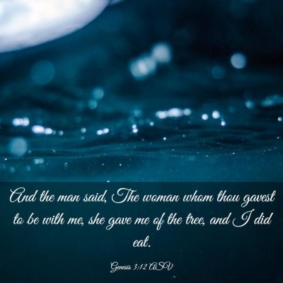 Picture 03 - Genesis 3:12 ASV - And the man said, The woman whom thou gavest to - Bible Verse Picture
