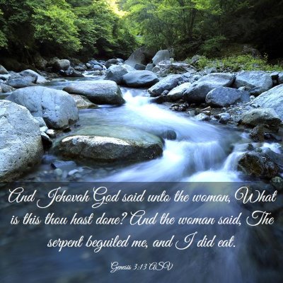 Picture 03 - Genesis 3:13 ASV - And Jehovah God said unto the woman, What is this - Bible Verse Picture