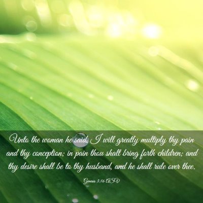 Picture 03 - Genesis 3:16 ASV - Unto the woman he said, I will greatly multiply - Bible Verse Picture
