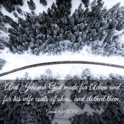 Picture 03 - Genesis 3:21 ASV - And Jehovah God made for Adam and for his wife - Bible Verse Picture