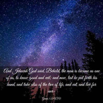 Picture 03 - Genesis 3:22 ASV - And Jehovah God said, Behold, the man is become - Bible Verse Picture