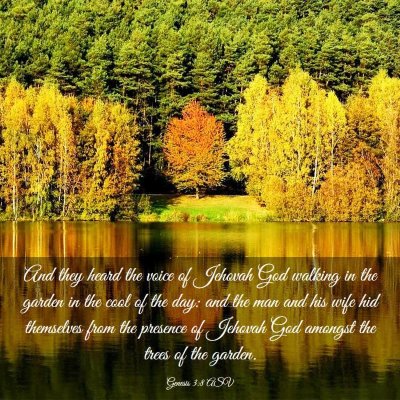 Picture 03 - Genesis 3:8 ASV - And they heard the voice of Jehovah God walking - Bible Verse Picture