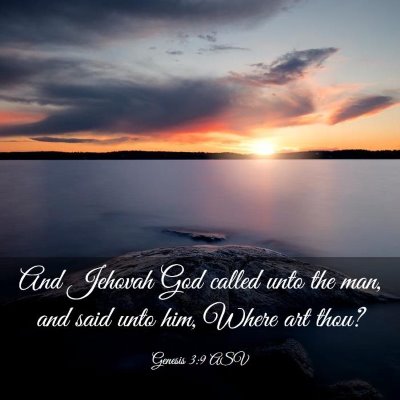 Picture 03 - Genesis 3:9 ASV - And Jehovah God called unto the man, and said - Bible Verse Picture