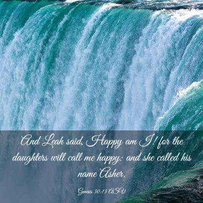 Picture 03 - Genesis 30:13 ASV - And Leah said, Happy am I! for the daughters will - Bible Verse Picture