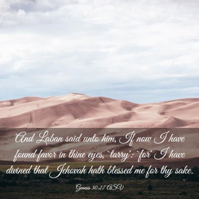 Picture 03 - Genesis 30:27 ASV - And Laban said unto him, If now I have found - Bible Verse Picture