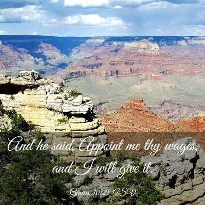 Picture 03 - Genesis 30:28 ASV - And he said, Appoint me thy wages, and I will - Bible Verse Picture