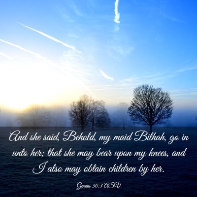 Picture 03 - Genesis 30:3 ASV - And she said, Behold, my maid Bilhah, go in unto - Bible Verse Picture