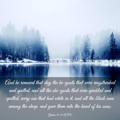 Picture 03 - Genesis 30:35 ASV - And he removed that day the he-goats that were - Bible Verse Picture