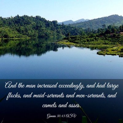 Picture 03 - Genesis 30:43 ASV - And the man increased exceedingly, and had large - Bible Verse Picture