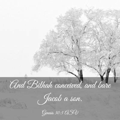 Picture 03 - Genesis 30:5 ASV - And Bilhah conceived, and bare Jacob a - Bible Verse Picture