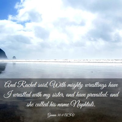 Picture 03 - Genesis 30:8 ASV - And Rachel said, With mighty wrestlings have I - Bible Verse Picture