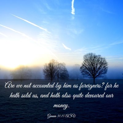 Picture 03 - Genesis 31:15 ASV - Are we not accounted by him as foreigners? for he - Bible Verse Picture