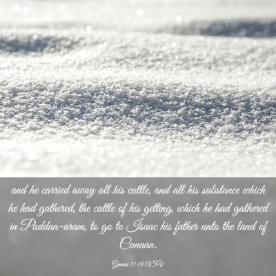 Picture 03 - Genesis 31:18 ASV - and he carried away all his cattle, and all his - Bible Verse Picture