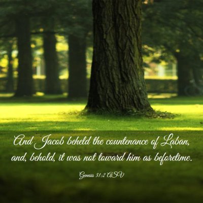 Picture 03 - Genesis 31:2 ASV - And Jacob beheld the countenance of Laban, and, - Bible Verse Picture