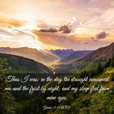 Picture 03 - Genesis 31:40 ASV - Thus I was; in the day the drought consumed me, - Bible Verse Picture