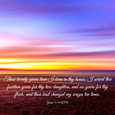 Picture 03 - Genesis 31:41 ASV - These twenty years have I been in thy house; I - Bible Verse Picture