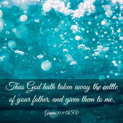 Picture 03 - Genesis 31:9 ASV - Thus God hath taken away the cattle of your - Bible Verse Picture