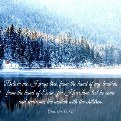 Picture 03 - Genesis 32:11 ASV - Deliver me, I pray thee, from the hand of my - Bible Verse Picture