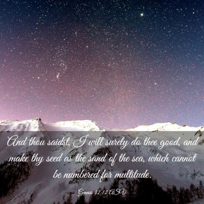 Picture 03 - Genesis 32:12 ASV - And thou saidst, I will surely do thee good, and - Bible Verse Picture