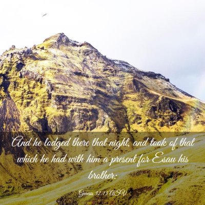 Picture 03 - Genesis 32:13 ASV - And he lodged there that night, and took of that - Bible Verse Picture