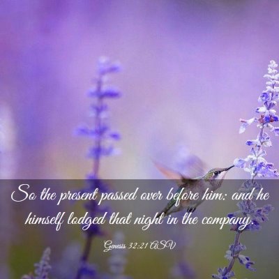 Picture 03 - Genesis 32:21 ASV - So the present passed over before him: and he - Bible Verse Picture