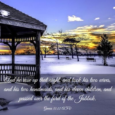 Picture 03 - Genesis 32:22 ASV - And he rose up that night, and took his two - Bible Verse Picture