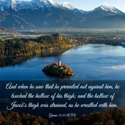 Picture 03 - Genesis 32:25 ASV - And when he saw that he prevailed not against - Bible Verse Picture