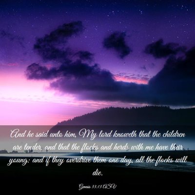 Picture 03 - Genesis 33:13 ASV - And he said unto him, My lord knoweth that the - Bible Verse Picture
