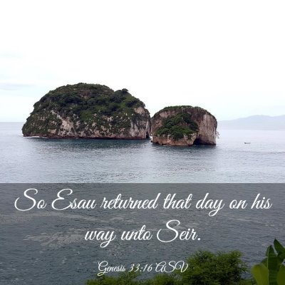 Picture 03 - Genesis 33:16 ASV - So Esau returned that day on his way unto - Bible Verse Picture