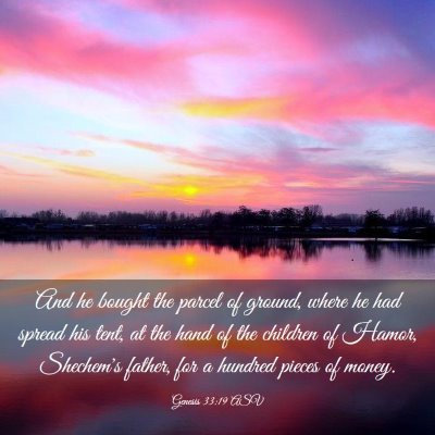 Picture 03 - Genesis 33:19 ASV - And he bought the parcel of ground, where he had - Bible Verse Picture
