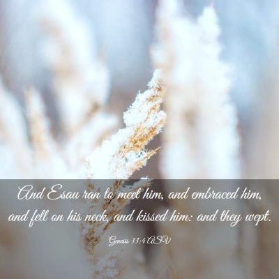 Picture 03 - Genesis 33:4 ASV - And Esau ran to meet him, and embraced him, and - Bible Verse Picture