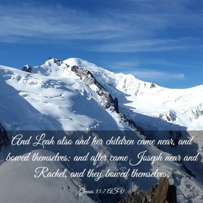 Picture 03 - Genesis 33:7 ASV - And Leah also and her children came near, and - Bible Verse Picture