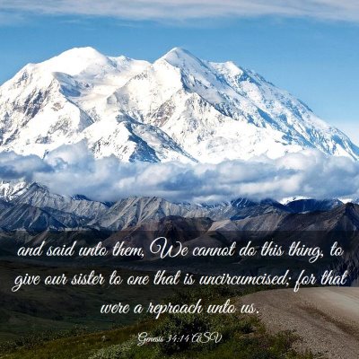 Picture 03 - Genesis 34:14 ASV - and said unto them, We cannot do this thing, to - Bible Verse Picture
