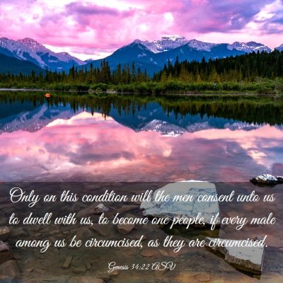 Picture 03 - Genesis 34:22 ASV - Only on this condition will the men consent unto - Bible Verse Picture