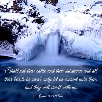 Picture 03 - Genesis 34:23 ASV - Shall not their cattle and their substance and - Bible Verse Picture