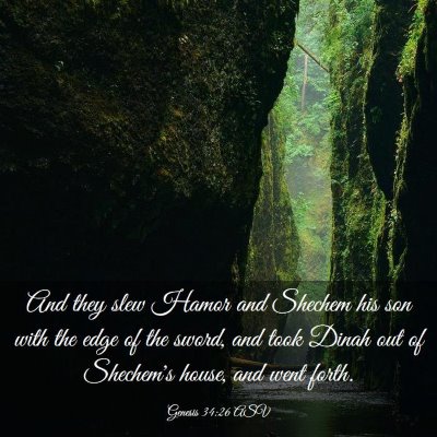 Picture 03 - Genesis 34:26 ASV - And they slew Hamor and Shechem his son with the - Bible Verse Picture