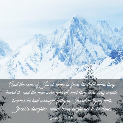 Picture 03 - Genesis 34:7 ASV - And the sons of Jacob came in from the field when - Bible Verse Picture