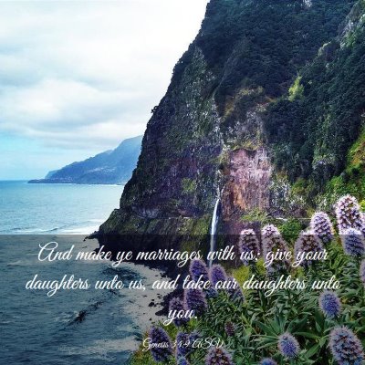 Picture 03 - Genesis 34:9 ASV - And make ye marriages with us; give your - Bible Verse Picture