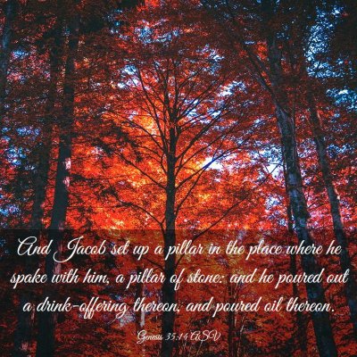 Picture 03 - Genesis 35:14 ASV - And Jacob set up a pillar in the place where he - Bible Verse Picture
