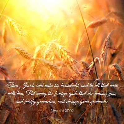 Picture 03 - Genesis 35:2 ASV - Then Jacob said unto his household, and to all - Bible Verse Picture