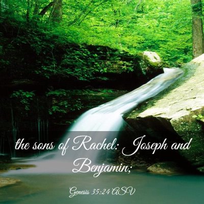 Picture 03 - Genesis 35:24 ASV - the sons of Rachel: Joseph and - Bible Verse Picture