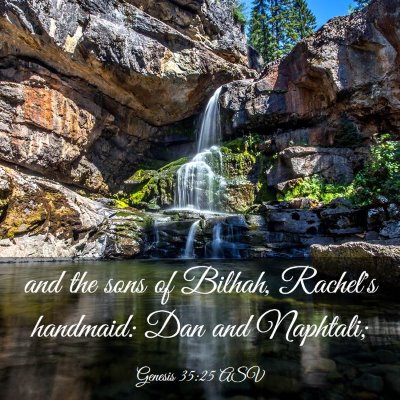 Picture 03 - Genesis 35:25 ASV - and the sons of Bilhah, Rachel's handmaid: Dan - Bible Verse Picture