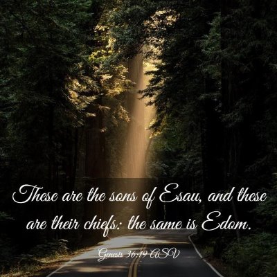 Picture 03 - Genesis 36:19 ASV - These are the sons of Esau, and these are their - Bible Verse Picture