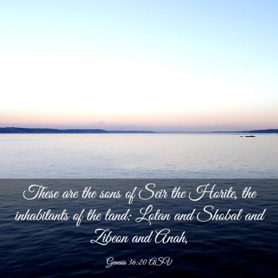 Picture 03 - Genesis 36:20 ASV - These are the sons of Seir the Horite, the - Bible Verse Picture