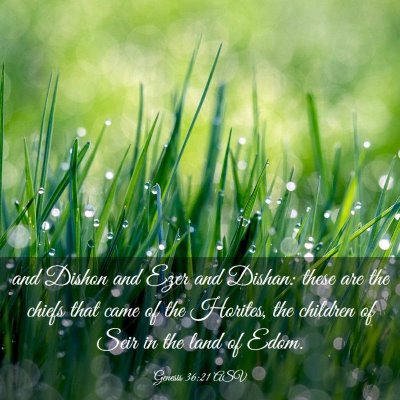 Picture 03 - Genesis 36:21 ASV - and Dishon and Ezer and Dishan: these are the - Bible Verse Picture