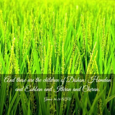 Picture 03 - Genesis 36:26 ASV - And these are the children of Dishon: Hemdan and - Bible Verse Picture